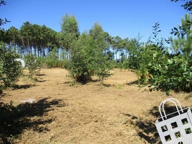 Terreno com 5.460m2 em zona H2 do PDM