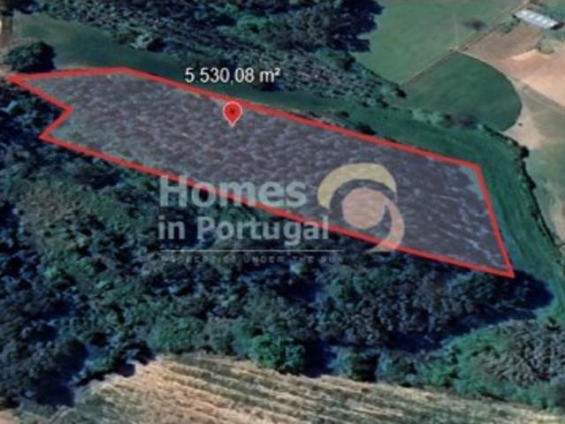 Terreno com 5.530,08 m² em Alvorninha, Caldas da Rainha