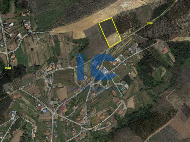 Terreno com 5.642 m² e 52,30 m de frente e Brunhido possibilidade de desmembramento em 2 lotes
