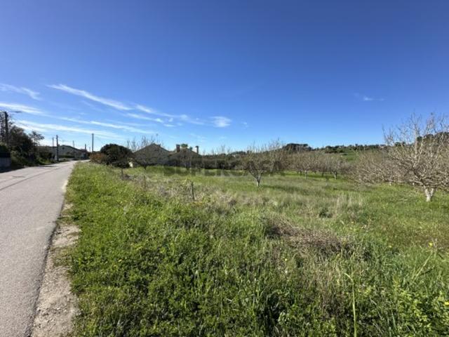 Terreno com 5.840 m2 a 5 km de Tomar