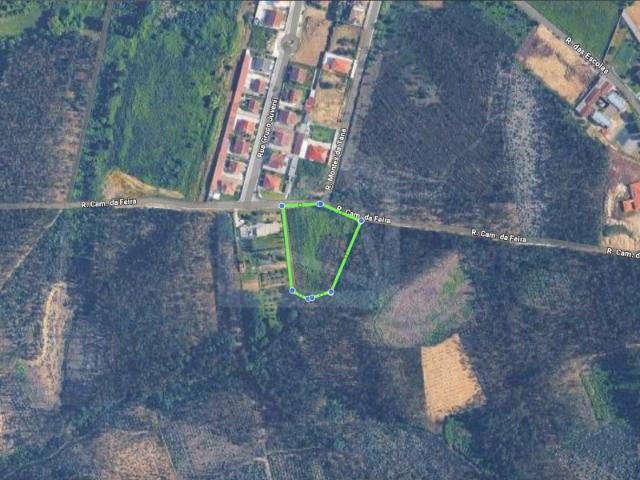 Terreno com 5.800 m² e potencial construtivo em Pinheiro da Bemposta