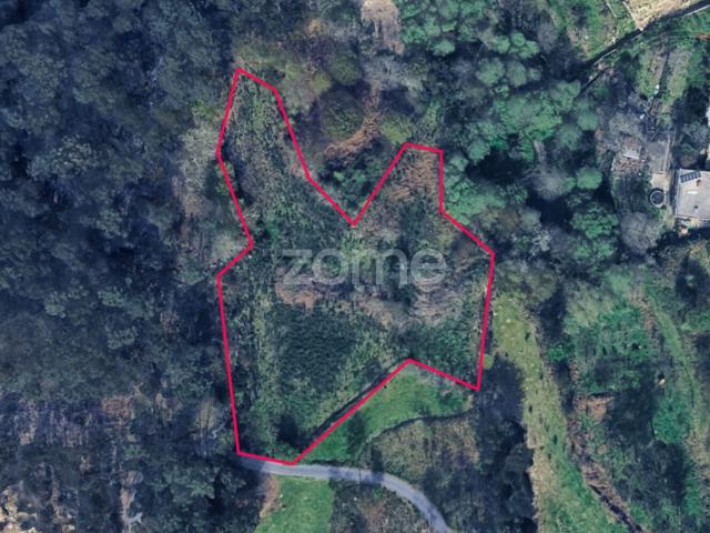 Terreno com 5.953 m² em Armil, Fafe – Zona Verde