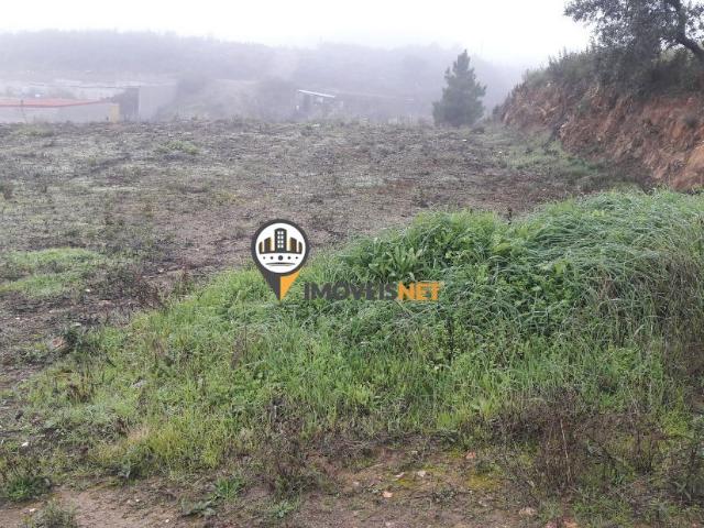 Terreno com 600 m2, venda, Castelo Branco