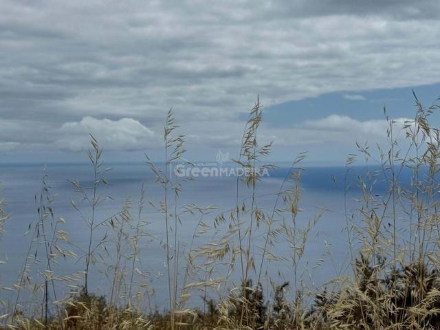 Terreno com 602 metros quadrados situado na Fajã da Ovelha com excelente vista mar!
