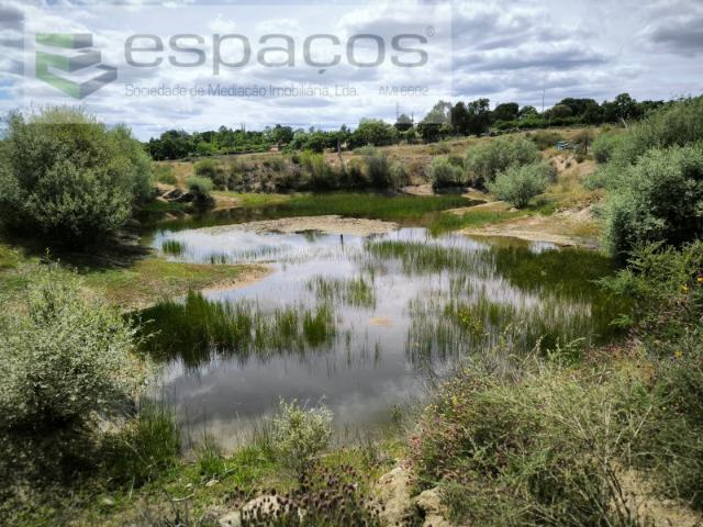 Terreno com 60.000 m² às portas da cidade de Castelo Branco