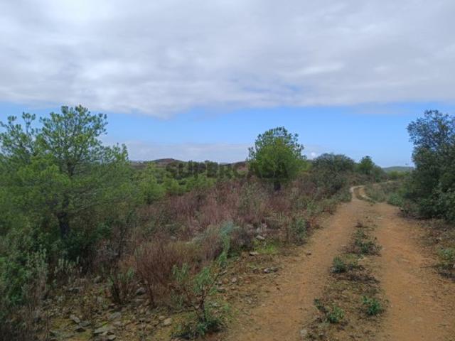 TERRENO COM 60.200 M2 COM POSSIBILIDADE DE CONSTRUÇÃO MORADIA TURISMO PALMEIRA ALCOUTIM ALGARVE