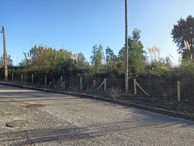 Terreno com 60m de frente São Bernardo / Aveiro
