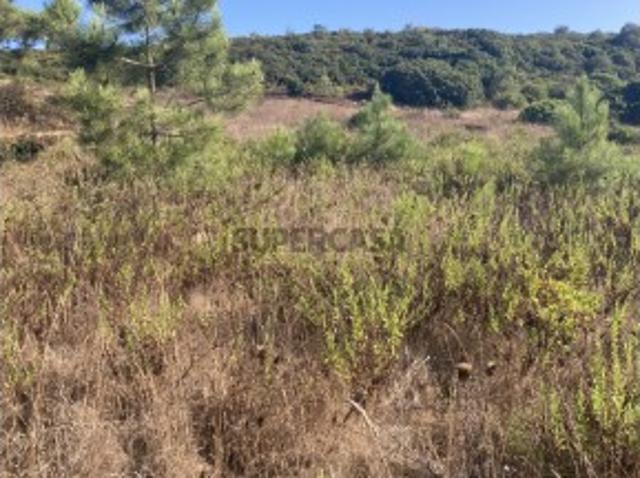 Terreno com 6175m2 na Aldeia do Meco em Sesimbra