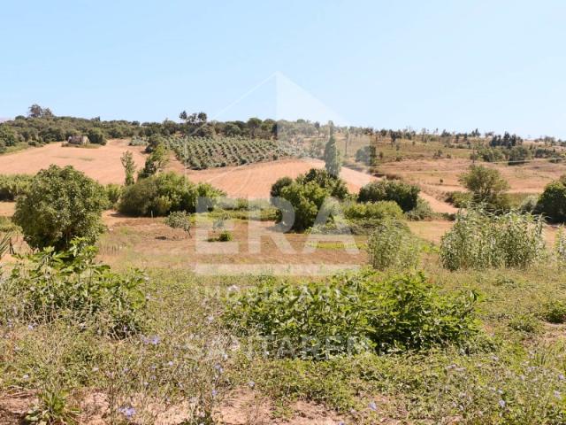 Terreno com 6260m2 com vistas fantásticas, destinado á construção de moradia independente