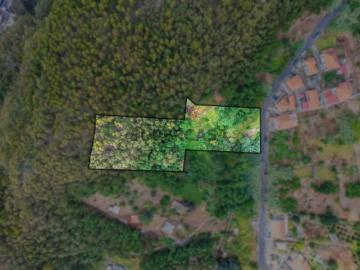 Terreno com 6350 m2 no Monte