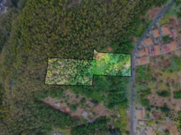 Terreno com 6350 m2 no Monte