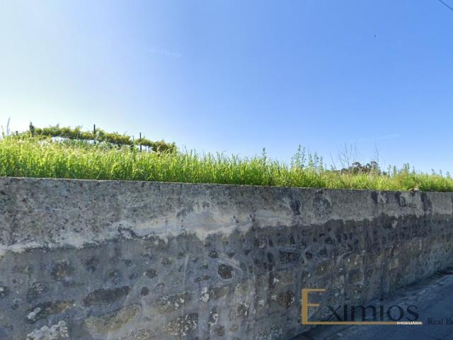 Terreno com 6500m2, em Barcelos