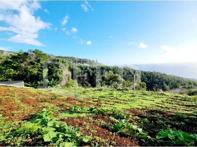Terreno com 650 m2