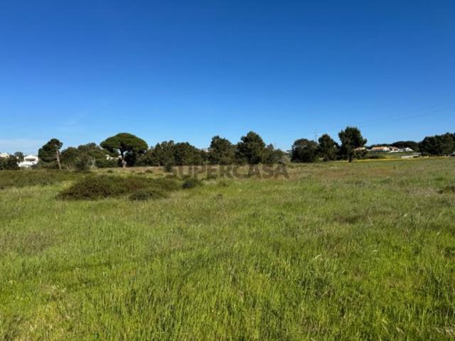 Terreno com 6750m2 para construção Caixas Sesimbra