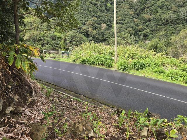 TERRENO COM 694M2,COM PROJECTO APROVADO PARA 1 PALHEIRO