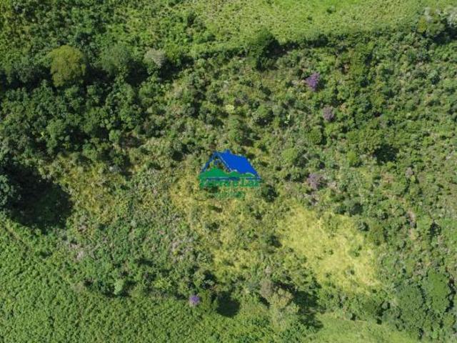 Terreno com 6 hectares à venda – Bairro Quatro Óleos, Aiuruoca/MG