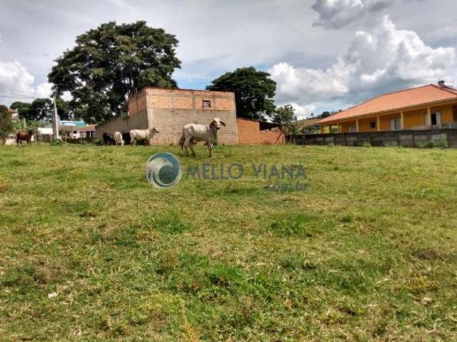 Terreno com 6.000 m² em frente a Rodovia Jesuania