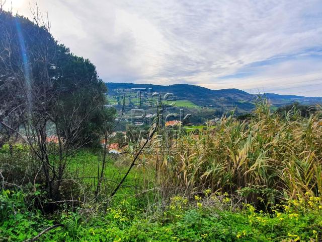 Terreno com 6.653 m2 na zona de À dos Loucos