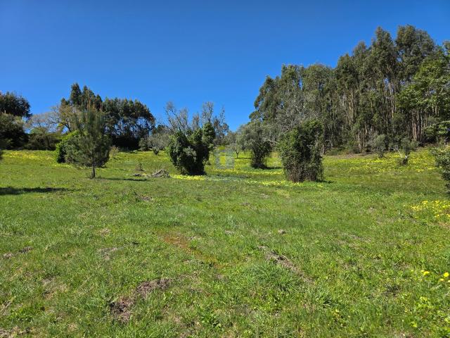Terreno com 6.703m2, com viabilidade para construir 1 ou 2 casas até 6.631m2 de área bruta. Fica em Cercal, uma aldeia privilegiada pelo rápido acesso à EN 366 e à A1 que liga Lisboa Porto