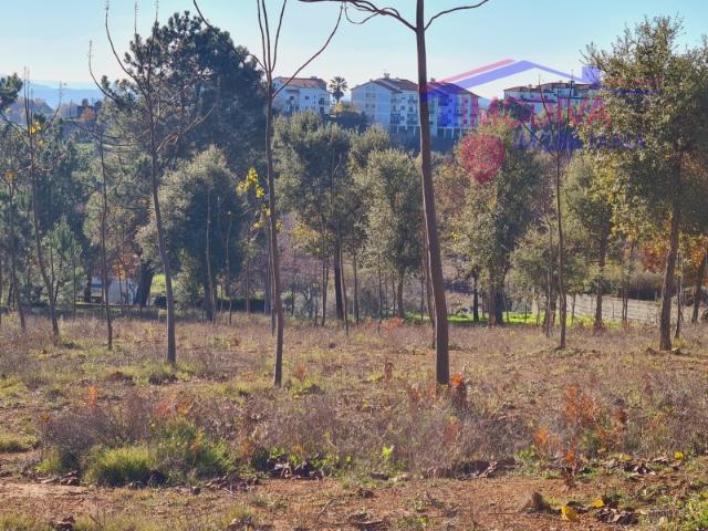 Terreno com 7107m2, viabilidade de construção em Figueiró dos Vinhos