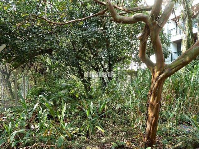 Terreno com 712,0m² Frente 12,5m x Fundos 56,96m em Rua Tranquila