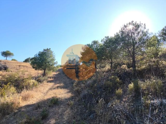 TERRENO COM 73700 M2 COM LAGO PRÓPRIO MUITAS ÁRVORES POSSIBILIDADE DE CONSTRUÇÃO DE HABITAÇÃO E OU TURISMO RURAL PRÓXIMO AO PIÇARRAL AZINHAL CASTRO MARIM ALGARVE