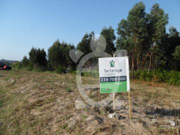 Terreno com 75.000M2