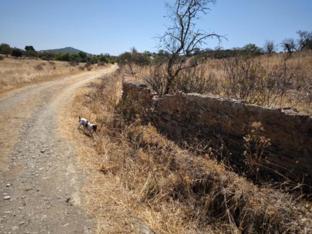TERRENO COM 7.640 M2 JUNTO A ENTRADA DA ALDEIA DE CORTES PEREIRA ALCOUTIM ALGARVE