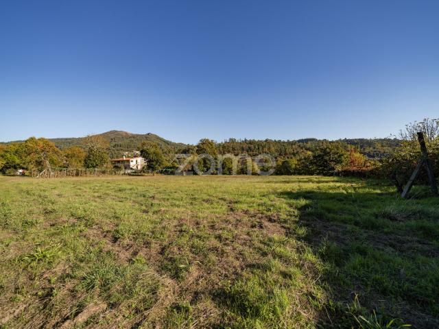 Terreno com 7852 m2 em Torre Amares