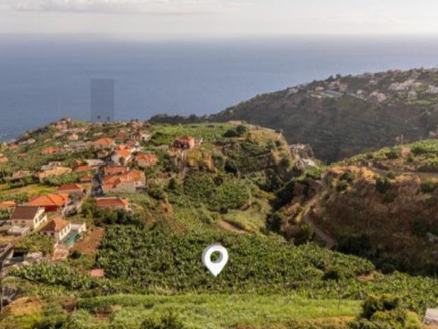 Terreno com 7944m2 Ponta do Sol