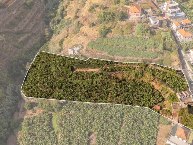 Terreno com 7944m2 Ponta do Sol