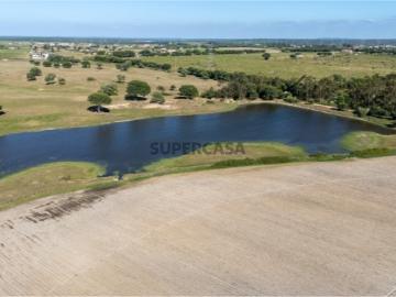 Terreno com 79 ha com viabilidade de construção em Palmela