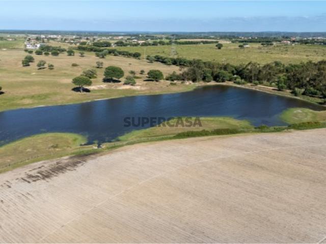 Terreno com 79 ha com viabilidade de construção em Palmela