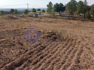Terreno com 7.050m2 para a construção até 4 moradias, perto de Tomar no centro de Portugal