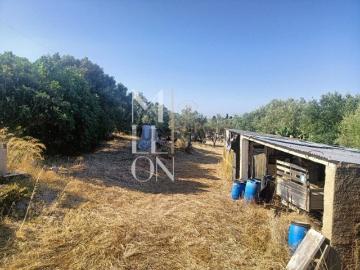 ️ Terreno com 7.000 m² no centro de Manique Ideal para Equipamentos Sociais