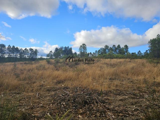 Terreno com 7.500m2