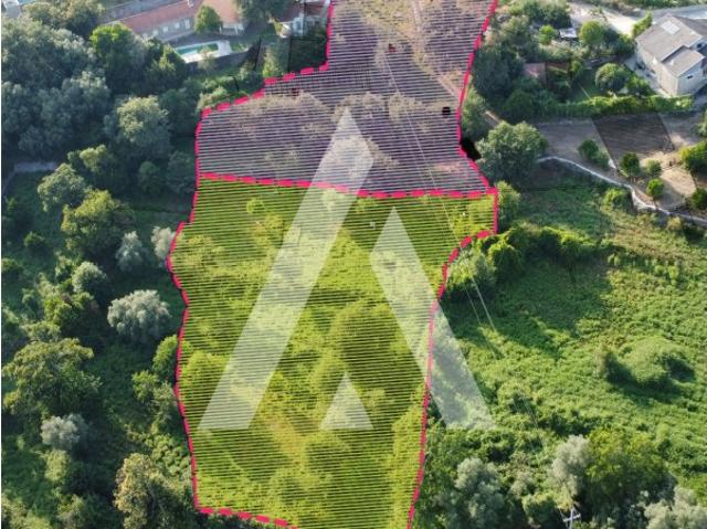 Terreno com 7.518 m² para construção Barbudo, Vila Verde