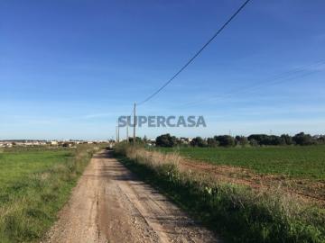 Terreno com 7.760 m² perto da Praia de Manta Rota Algarve