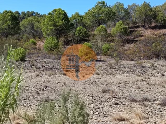 TERRENO COM 83.240 M2 JUNTO A RIBEIRA DE ODELEITE POSSIBILIDADE DE CONSTRUÇÃO HABITAÇÃO E TURISMO EM GALAXES VAQUEIROS ALCOUTIM