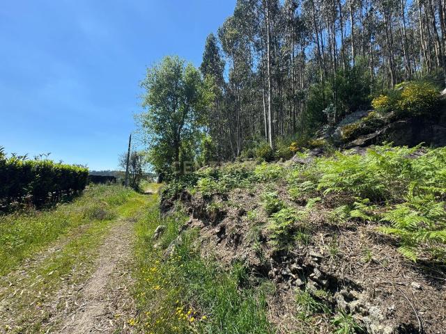 Terreno com 8000m2 em Vila Cova