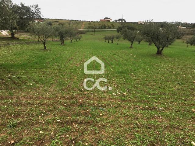 Terreno com 8000m2 localizado na Amareleja