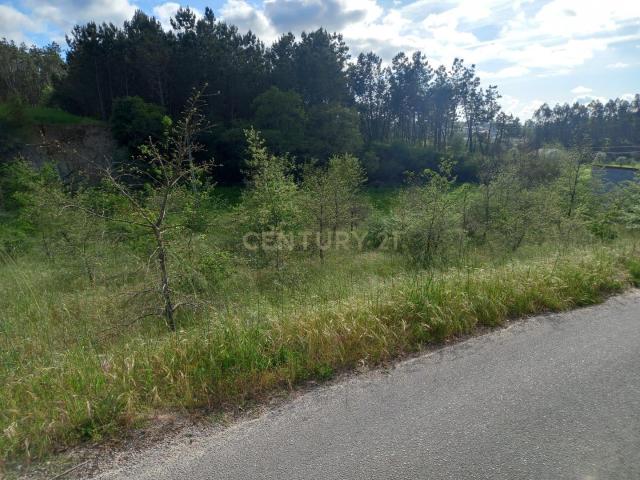 Terreno com 800 m2 em Barbas Novas