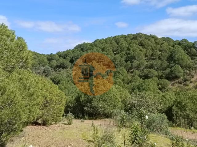 TERRENO COM 87.920 M2 COM POSSIBILIDADE DE CONSTRUÇÃO HABITAÇÃO TURISMO SENTINELA AZINHAL CASTRO MARIM ALGARVE