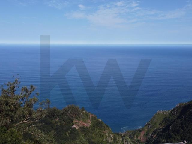 Terreno com 8670 m² em São Jorge – Localização Privilegiada Próxima ao Mar
