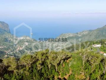 Terreno com 8955 m2 em Santo António da Serra