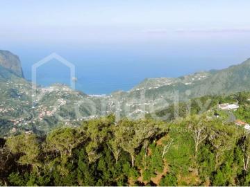 Terreno com 8955 m2 em Santo António da Serra