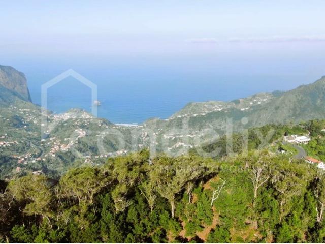 Terreno com 8955 m2 em Santo António da Serra
