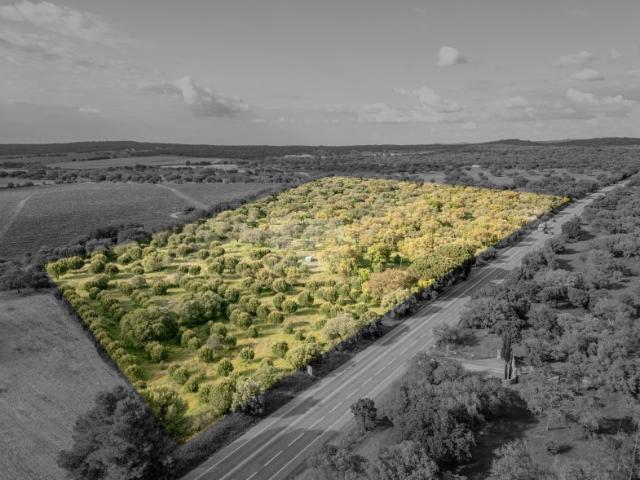 Terreno com 8 ha e Múltiplas Viabilidades de Construção!