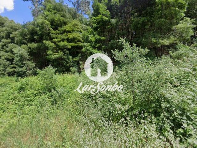 Terreno com 8.000m2 em Santo Tirso