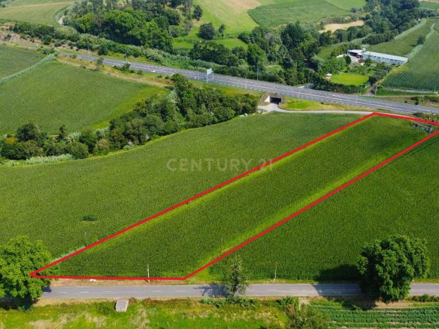 Terreno com 8.420 m² e duas frentes em Água de Pau, Lagoa